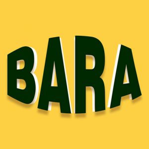 Logo de Bara Cosmetics
