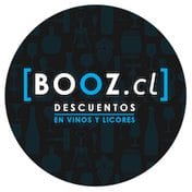 Logo de Booz