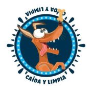 Logo de 40caidaylimpia.com