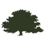 Logo de Medical Green