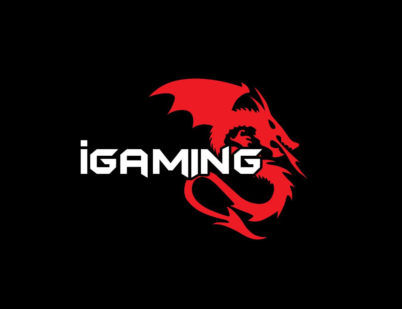 Logo de IGAMING