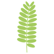 Logo de Galeria Tamarindo