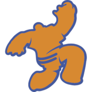 Logo de Deportes Decarrerilla