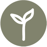 Logo de Um presente original
