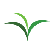 Logo de VerdeAndino SpA.
