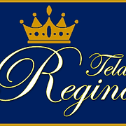 Logo de Telas Regina