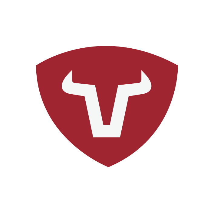 Logo de Bullrock Chile