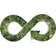 Logo de CURSO HUELLA