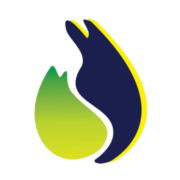Logo de gasvehicular.pe