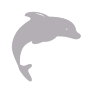 Logo de Dolpfit – Ropa Deportiva