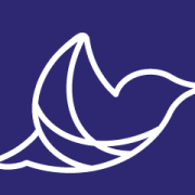 Logo de Vinos Salto de fe