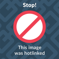 Logo de www.lynxhp.com