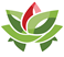 Logo de Equilibrio Vithal