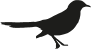Logo de destiladoscasablanca.cl