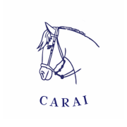 Logo de ✔ Calzados Carai Elche