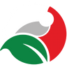Logo de VFS Store