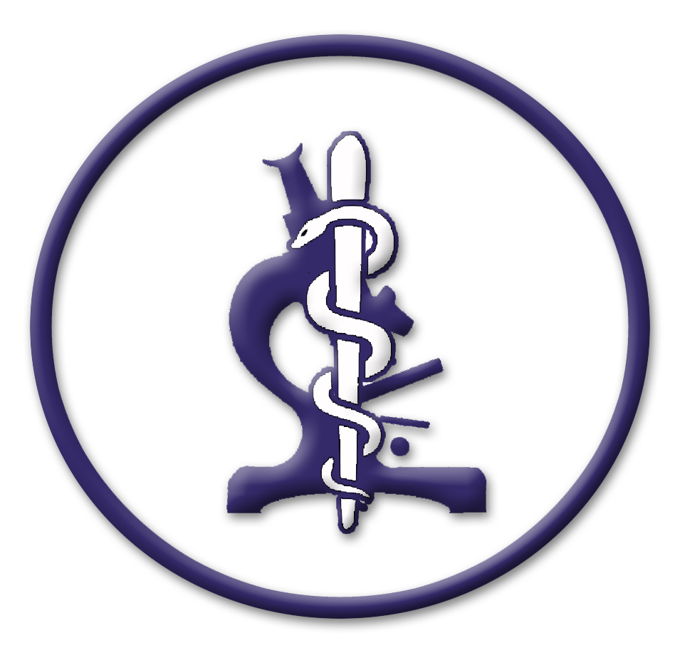 Logo de laboratorioloslagos.cl