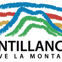 Logo de antillanca.cl