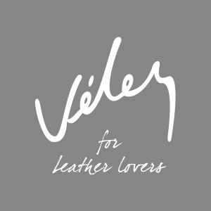 Logo de Vélez Colombia
